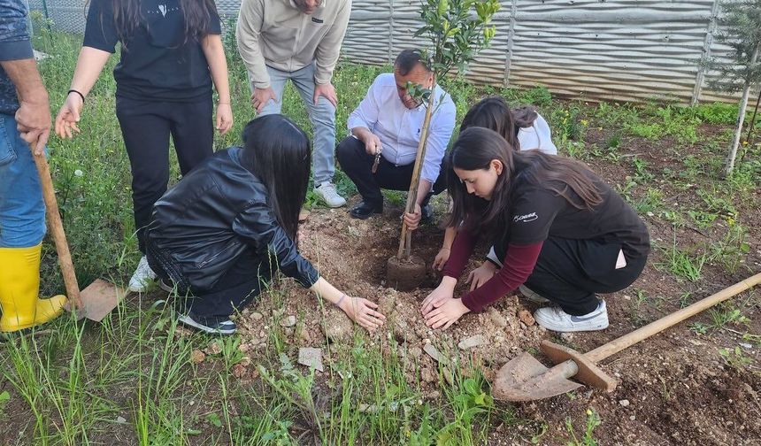 Toroslar’da “Yeşil Vatan” İçin Umut Fidanları Toprakla Buluştu