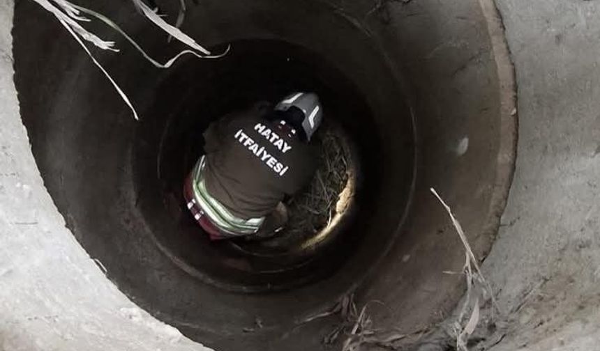 Antakya'da kuyuya düşen köpeği itfaiye kurtardı