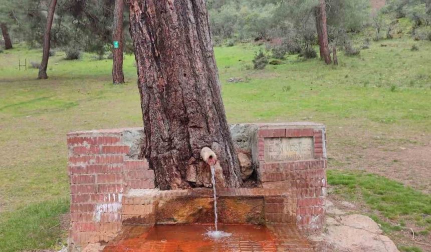 Çeşmeden maden suyu içmek isteyen vatandaşlar Laçin'e geliyor