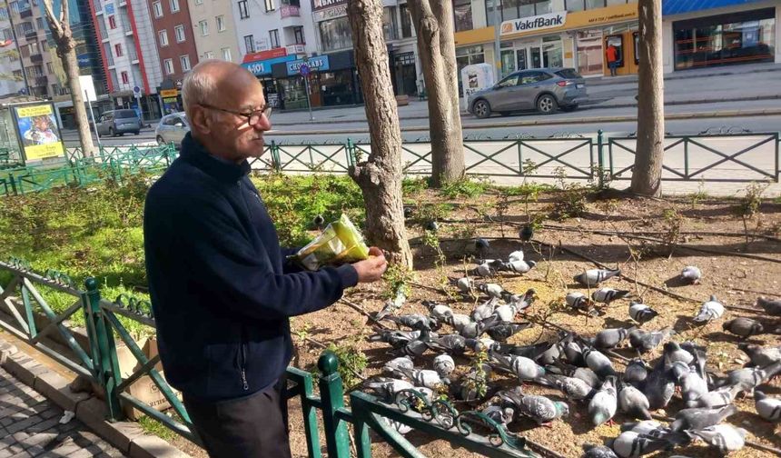 Dükkanının önüne gelen onlarca güvercini doyuruyor