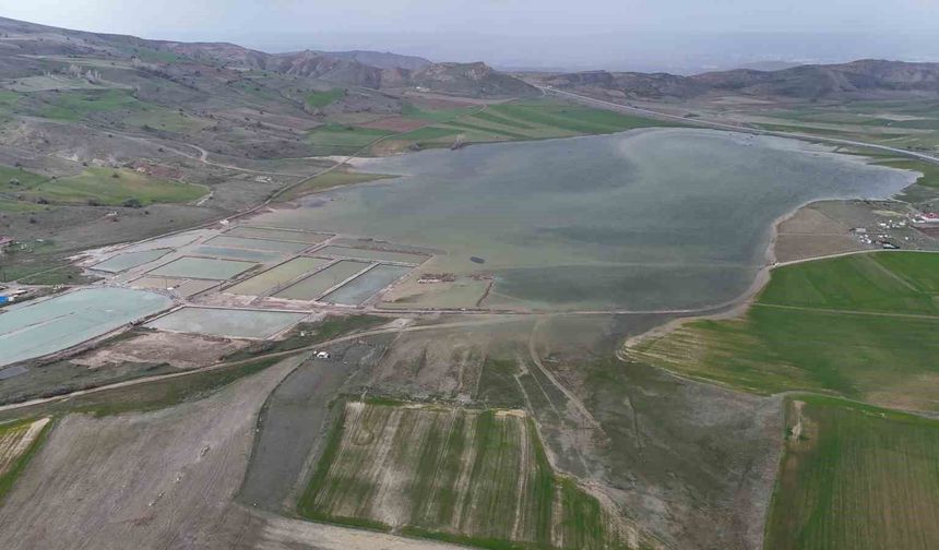 Göçmen kuşların uğrak mekanı, son yağışlarla doldu taştı