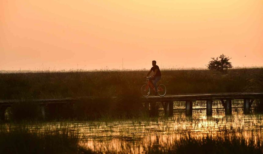 Kızılırmak Deltası Kuş Cenneti'nde bahar coşkusu
