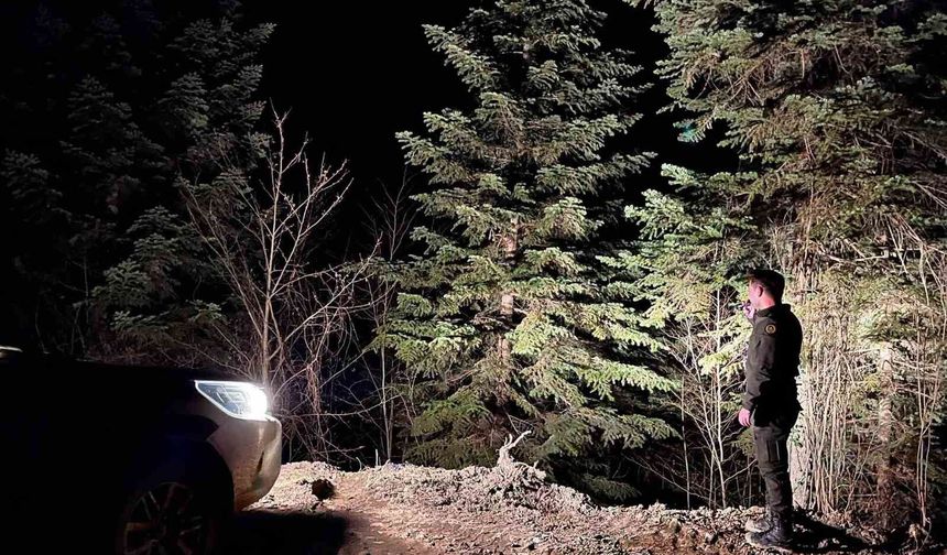 Sinop ormanları 7/24 koruma altında