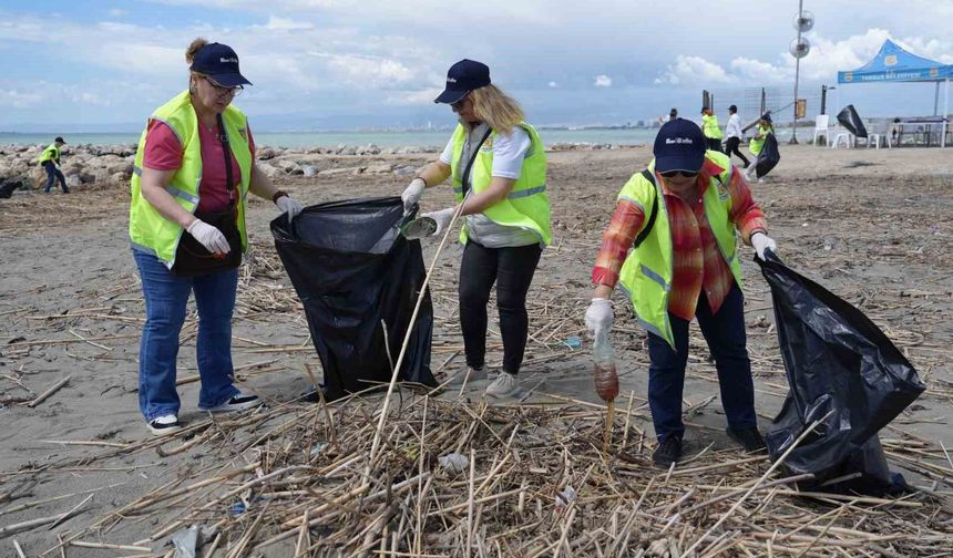 Tarsus'ta kaplumbağalar için seferberlik
