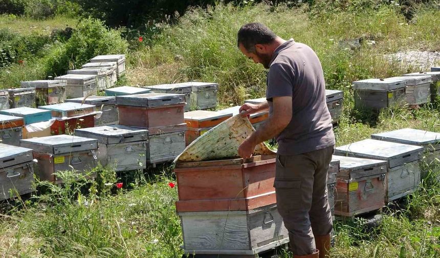 Erdemli’de Arıcılara Uyarı: Kamerayı Kıran Şüpheli Her Yerde Aranıyor