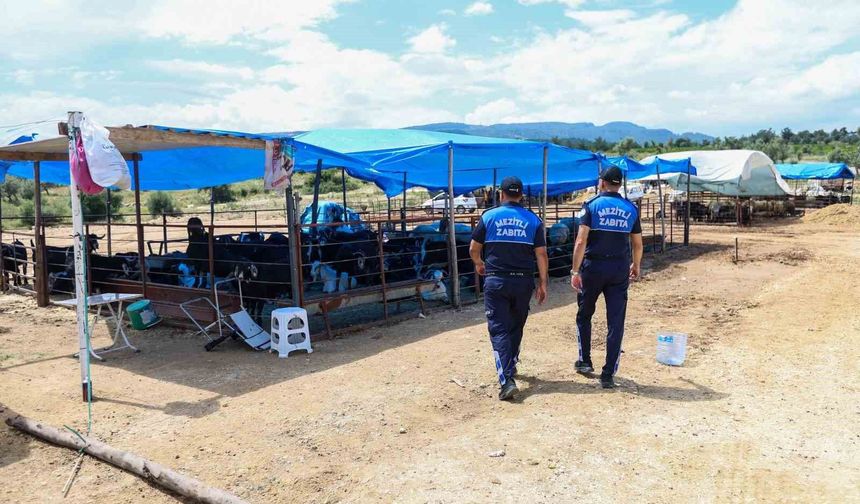 Mezitli'de Kurban Bayramı öncesi sıkı denetim