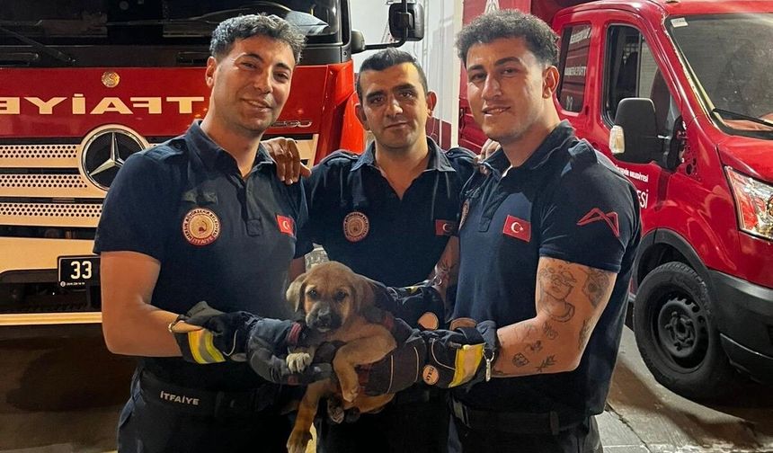 Otomobilin motoruna sıkışan yavru köpeği itfaiye kurtardı