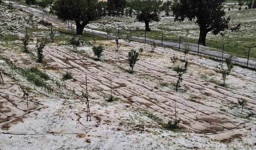 Mersin Erdemli'de dolu tarım alanlarına zarar verdi