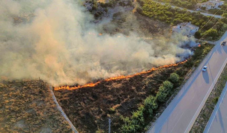 Mersin'de çıkan yangın evlere ve ormana ulaşmadan söndürüldü
