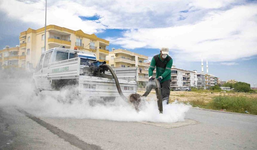 Mersin'de sinek ve haşerelere karşı yoğun mesai