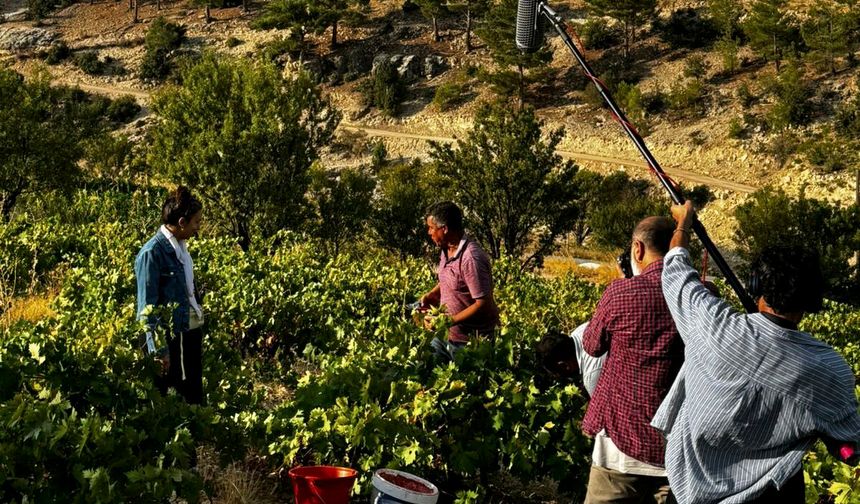Mersin sinema sektöründe adını duyuruyor