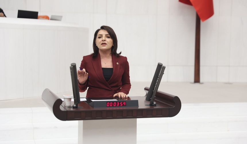 CHP'li Gülcan Kış: "Türkiye'de Geçimin Adı Kredi Kartı"
