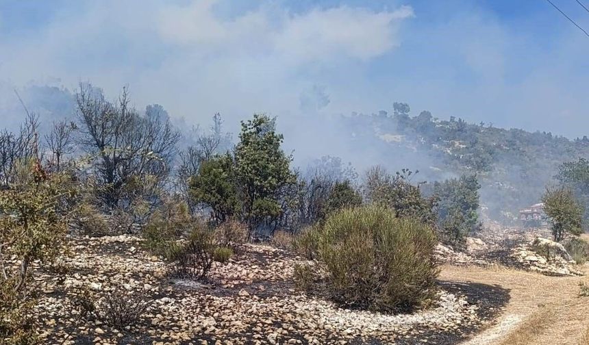 Silifke'deki yangın evlere ulaşmadan kontrol altına alındı