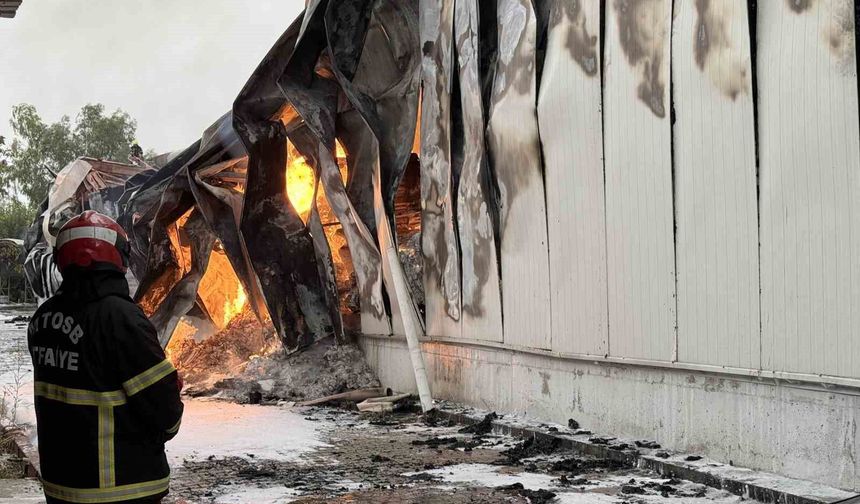 Mersin'de tütün ve makaron fabrikasının 3 deposunda yangın