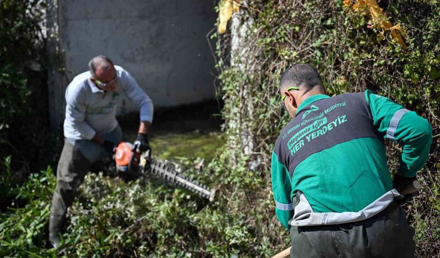 Mersin'de zararlılara karşı 505 personelle yıl boyunca ilaçlama