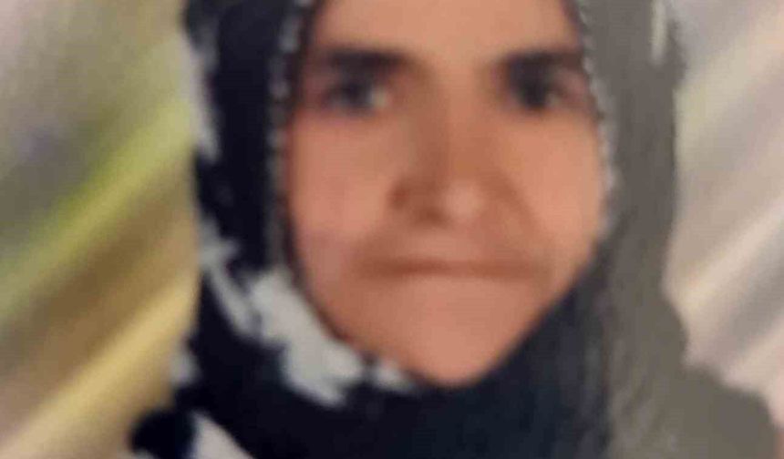 Tarsus'ta otomobilin çarptığı yaşlı kadın hayatını kaybetti