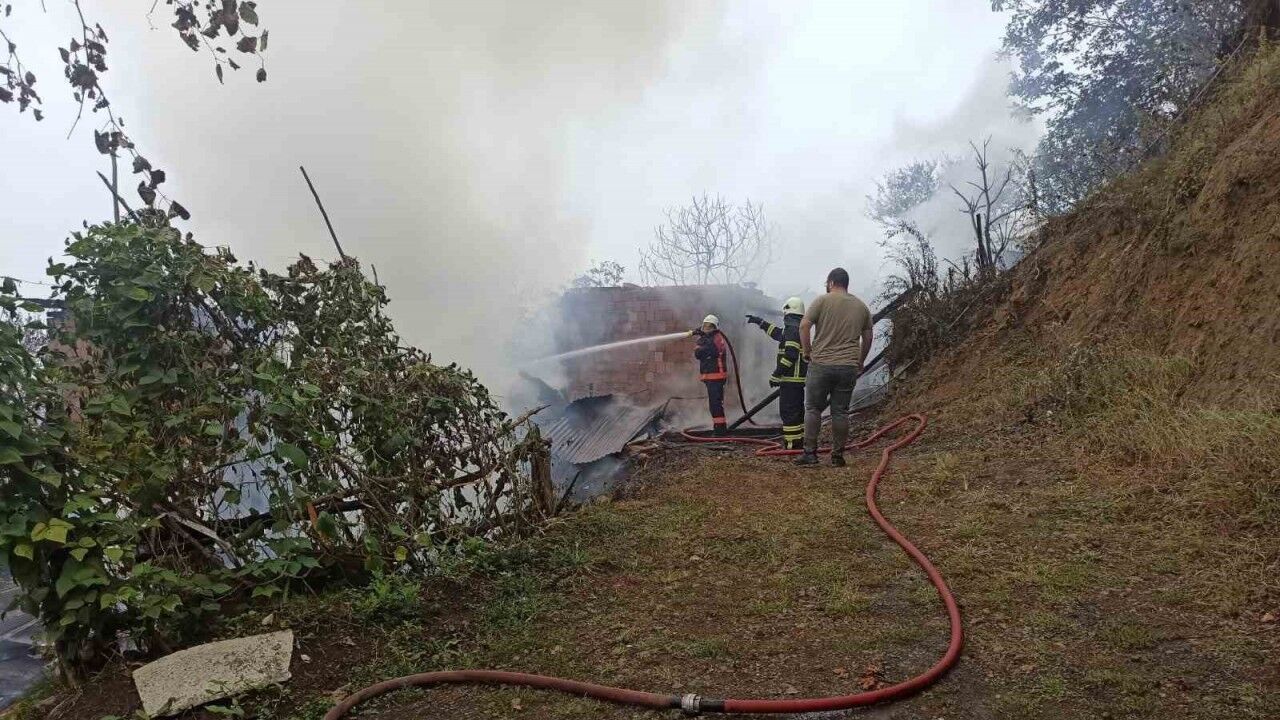 Artvin’de yangın paniği: 4 ev küle döndü
