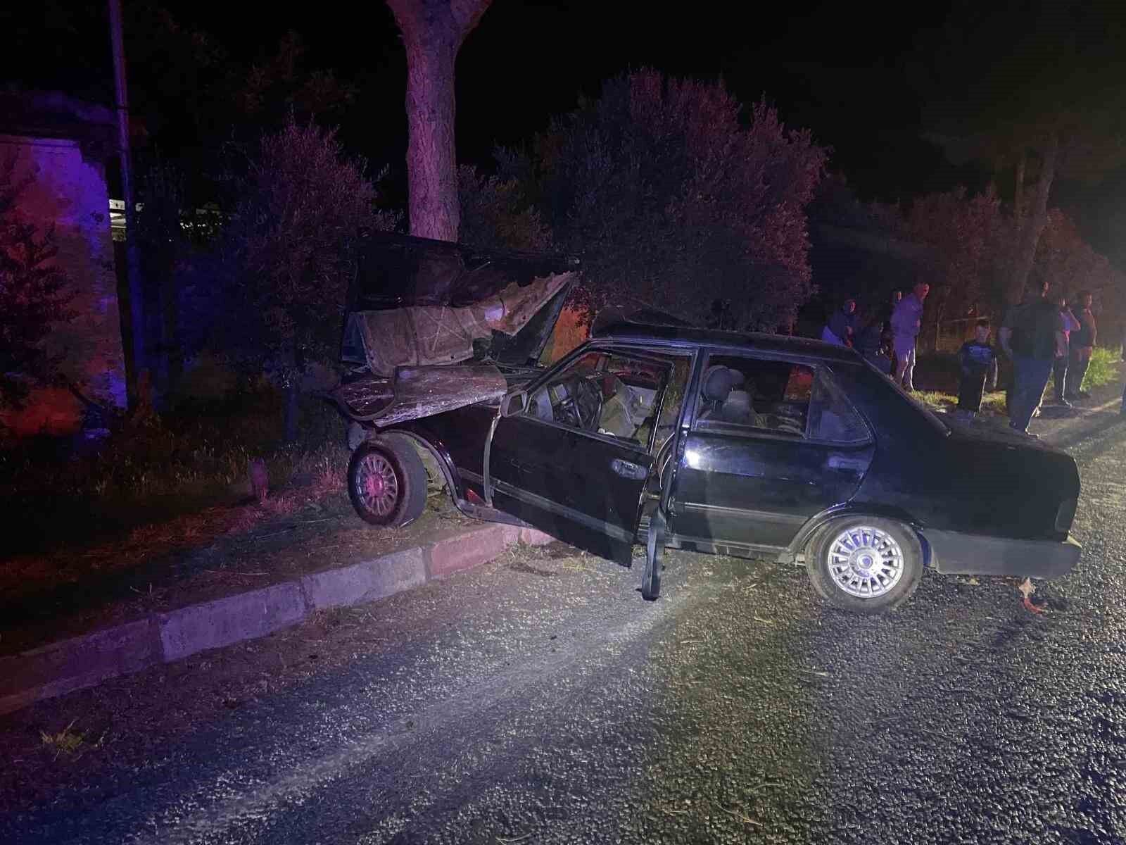 Köpeğe çarpmamak için ağaca çarpan sürücü hayatını kaybettti