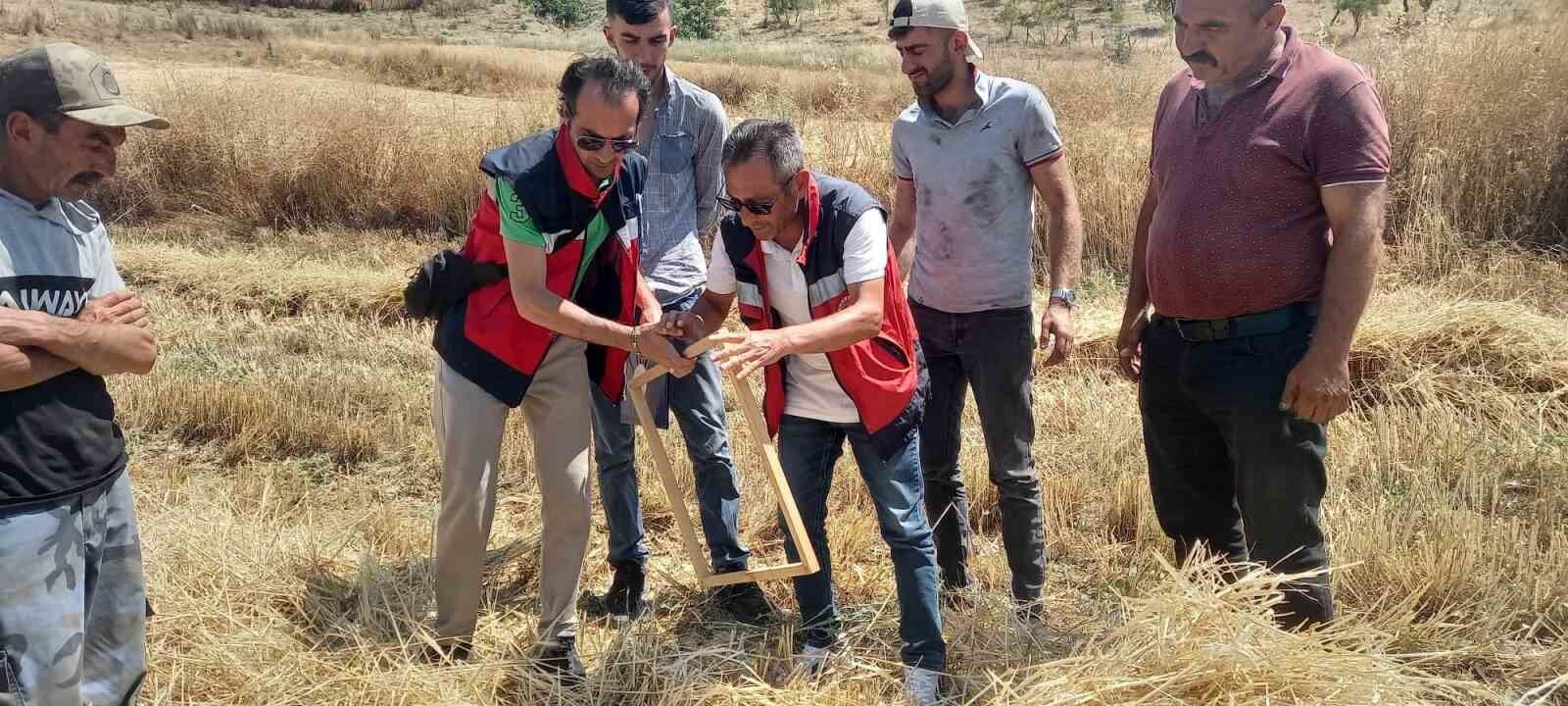 Tavşanlı'da biçerdöver kontrolleri sürüyor