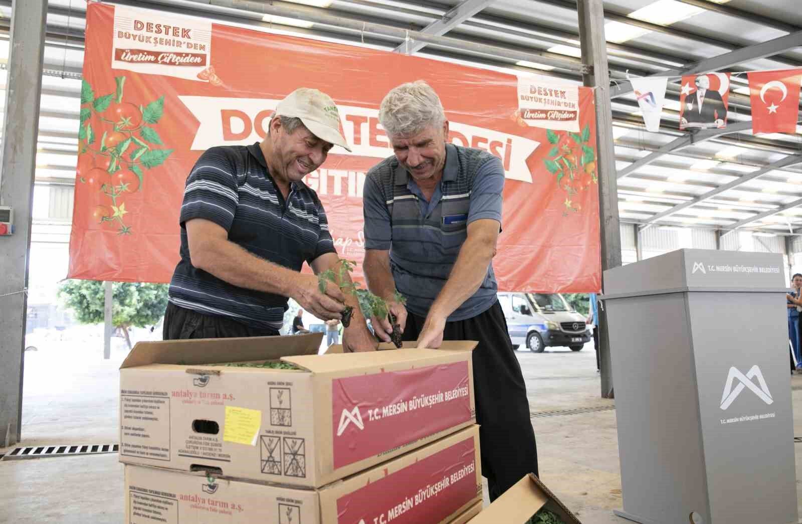 Mersin'de 200 üreticiye yüzde 70 hibeli domates fidesi desteği