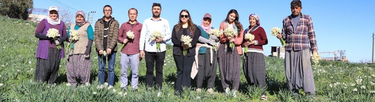 Büyükşehir’in Nergis Desteği Üreticinin Yüzünü Güldürdü