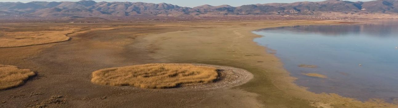 “Doğa Çöküyor: Orman Kaybı ve Su Krizi Derinleşiyor”
