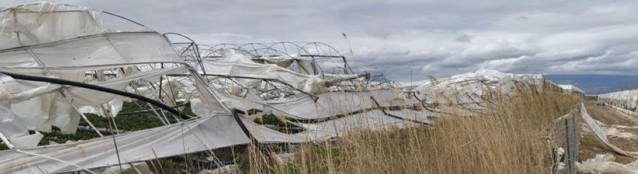 Silifke'de hortum seraları yerle bir etti