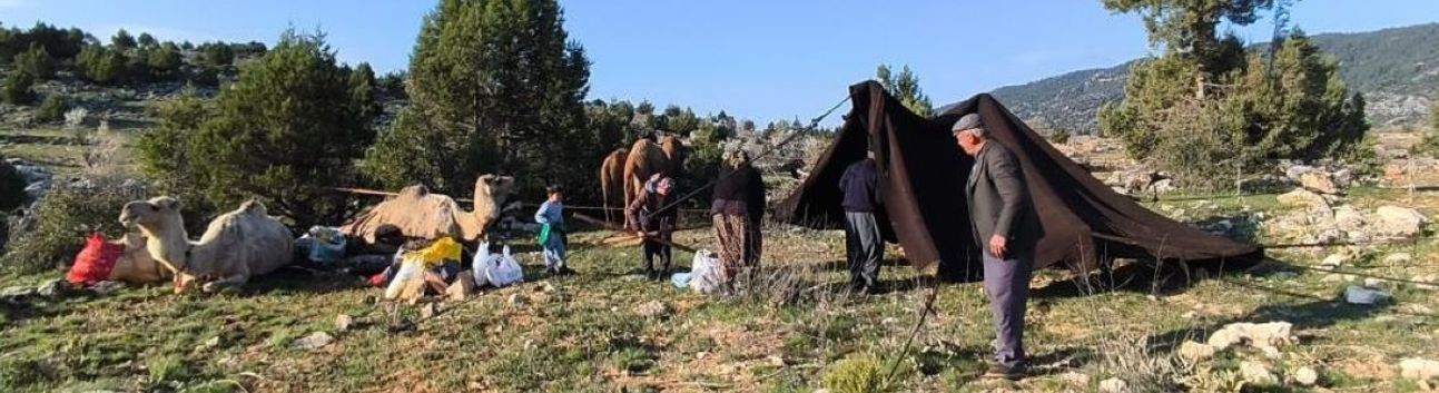 Toroslar'da Yörük göçü başladı: Sarıkeçililer yayla yolunda