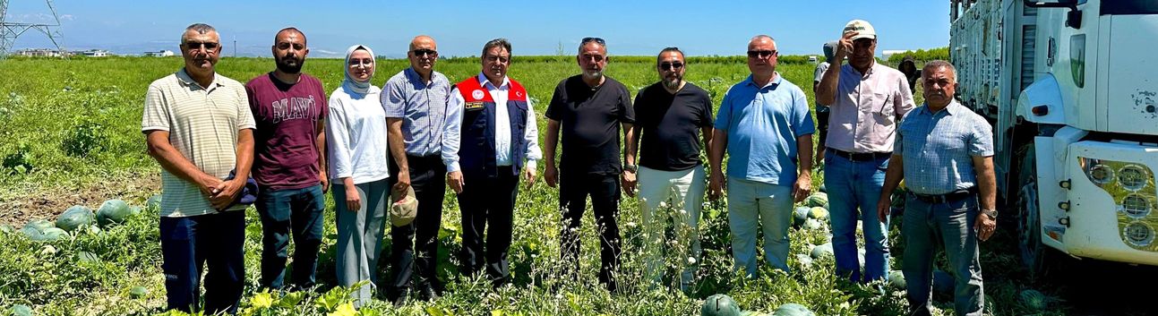 'Tropical Sunshine' üreticinin yüzünü güldürüyor
